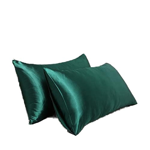 Satin Pillowcase for Hair and Skin Queen, Silky Pillowcase 20x30 Inches - Set of 2 with Envelope Closure, Similar to Silk Pillow Cases, Gifts for Women Men