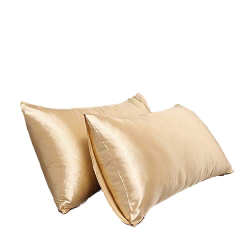 Satin Pillowcase for Hair and Skin Queen, Silky Pillowcase 20x30 Inches - Set of 2 with Envelope Closure, Similar to Silk Pillow Cases, Gifts for Women Men