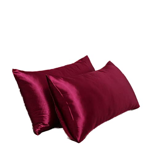 Satin Pillowcase for Hair and Skin Queen, Silky Pillowcase 20x30 Inches - Set of 2 with Envelope Closure, Similar to Silk Pillow Cases, Gifts for Women Men