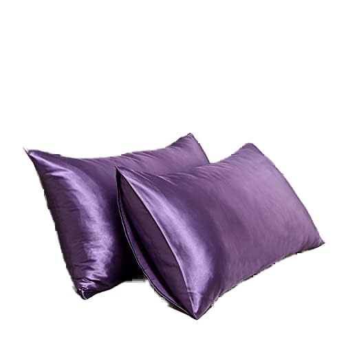 Satin Pillowcase for Hair and Skin Queen, Silky Pillowcase 20x30 Inches - Set of 2 with Envelope Closure, Similar to Silk Pillow Cases, Gifts for Women Men