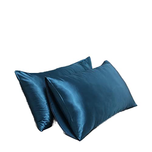 Satin Pillowcase for Hair and Skin Queen, Silky Pillowcase 20x30 Inches - Set of 2 with Envelope Closure, Similar to Silk Pillow Cases, Gifts for Women Men