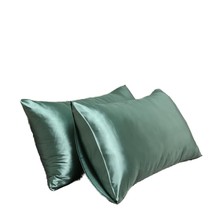 Satin Pillowcase for Hair and Skin Queen, Silky Pillowcase 20x30 Inches - Set of 2 with Envelope Closure, Similar to Silk Pillow Cases, Gifts for Women Men