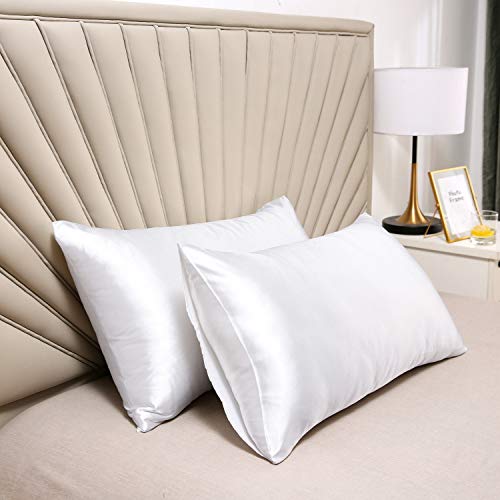 Satin Pillowcase for Hair and Skin Queen, Silky Pillowcase 20x30 Inches - Set of 2 with Envelope Closure, Similar to Silk Pillow Cases, Gifts for Women Men