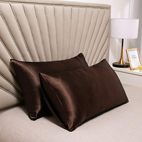 Satin Pillowcase for Hair and Skin Queen, Silky Pillowcase 20x30 Inches - Set of 2 with Envelope Closure, Similar to Silk Pillow Cases, Gifts for Women Men