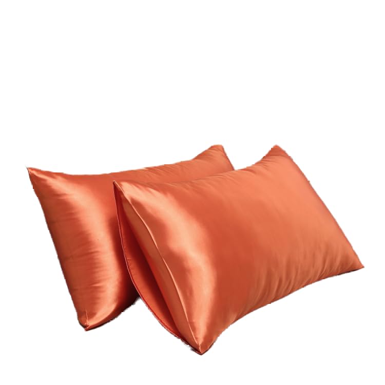 Satin Pillowcase for Hair and Skin Queen, Silky Pillowcase 20x30 Inches - Set of 2 with Envelope Closure, Similar to Silk Pillow Cases, Gifts for Women Men