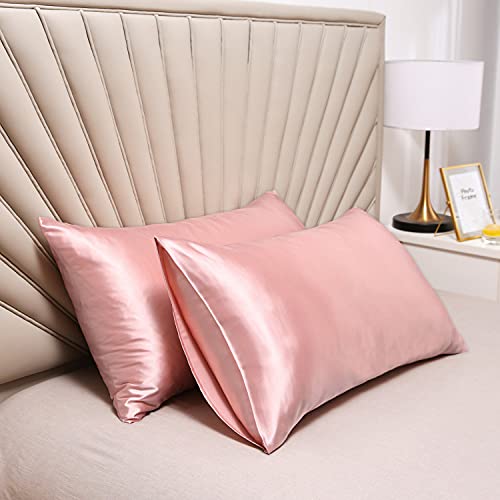 Satin Pillowcase for Hair and Skin Queen, Silky Pillowcase 20x30 Inches - Set of 2 with Envelope Closure, Similar to Silk Pillow Cases, Gifts for Women Men