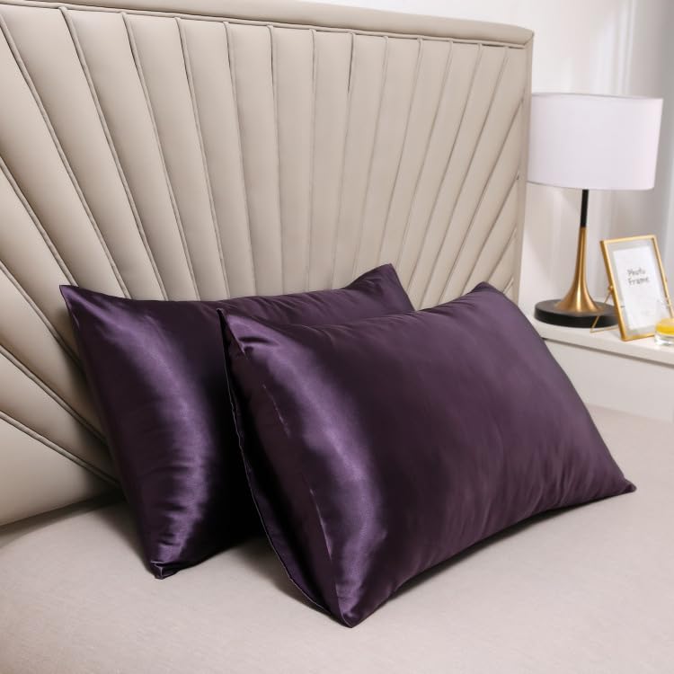 Satin Pillowcase for Hair and Skin Queen, Silky Pillowcase 20x30 Inches - Set of 2 with Envelope Closure, Similar to Silk Pillow Cases, Gifts for Women Men