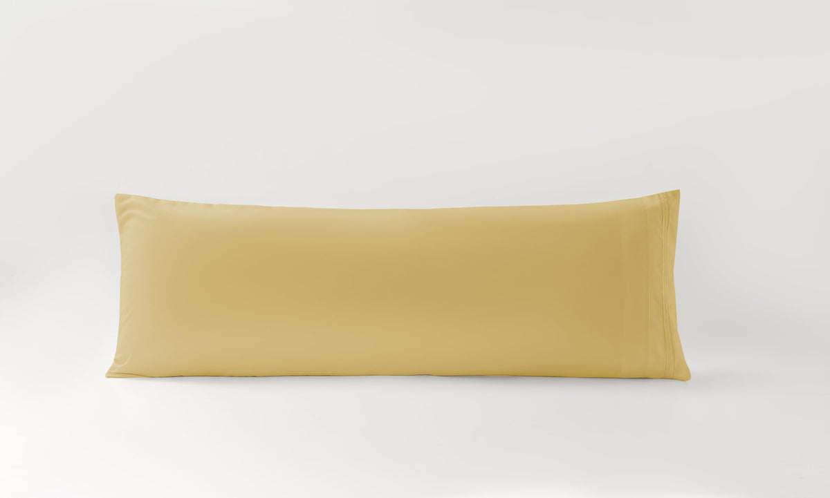 Purple Pillow Covers Set of 2，2 Pack Standard Size Pillow Cases，20"X26"