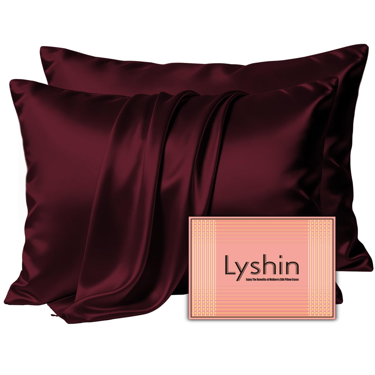 LYSHIN Silk Pillow Cases 2 Pack Standard Size with Zipper, Champagne