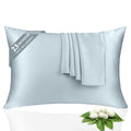 100% Silk Pillowcase 2 Pack for Hair and Skin, Both Sides 23 Momme Grade 6A+ Mulberry Silk Pillowcases with Hidden Zipper, Soft&Smooth Cooling Pillow Cases (Ash Blue, Standard 20×26)