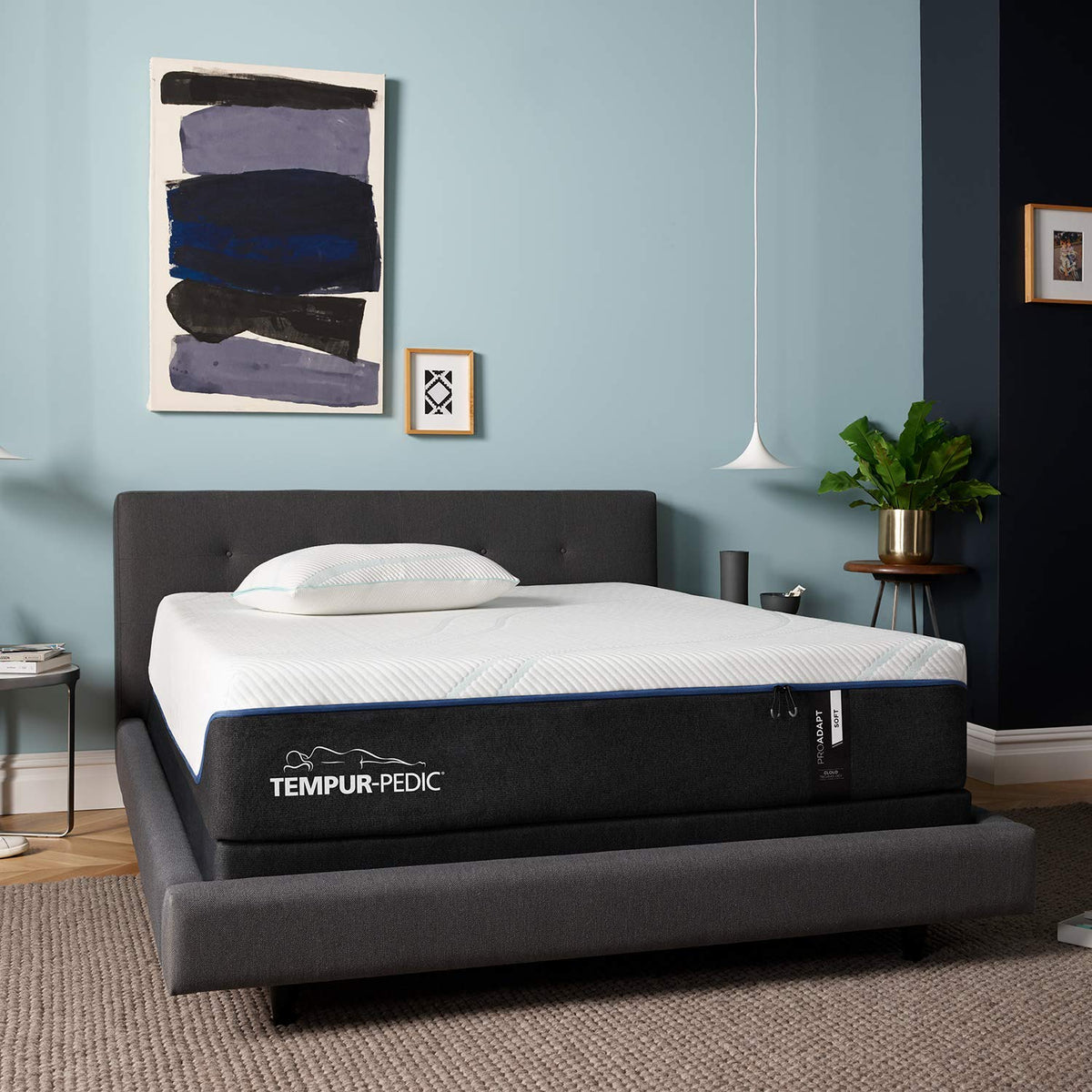 TEMPUR- ProAdapt 2.0 Firm 12 inch Memory Foam Mattress, Queen