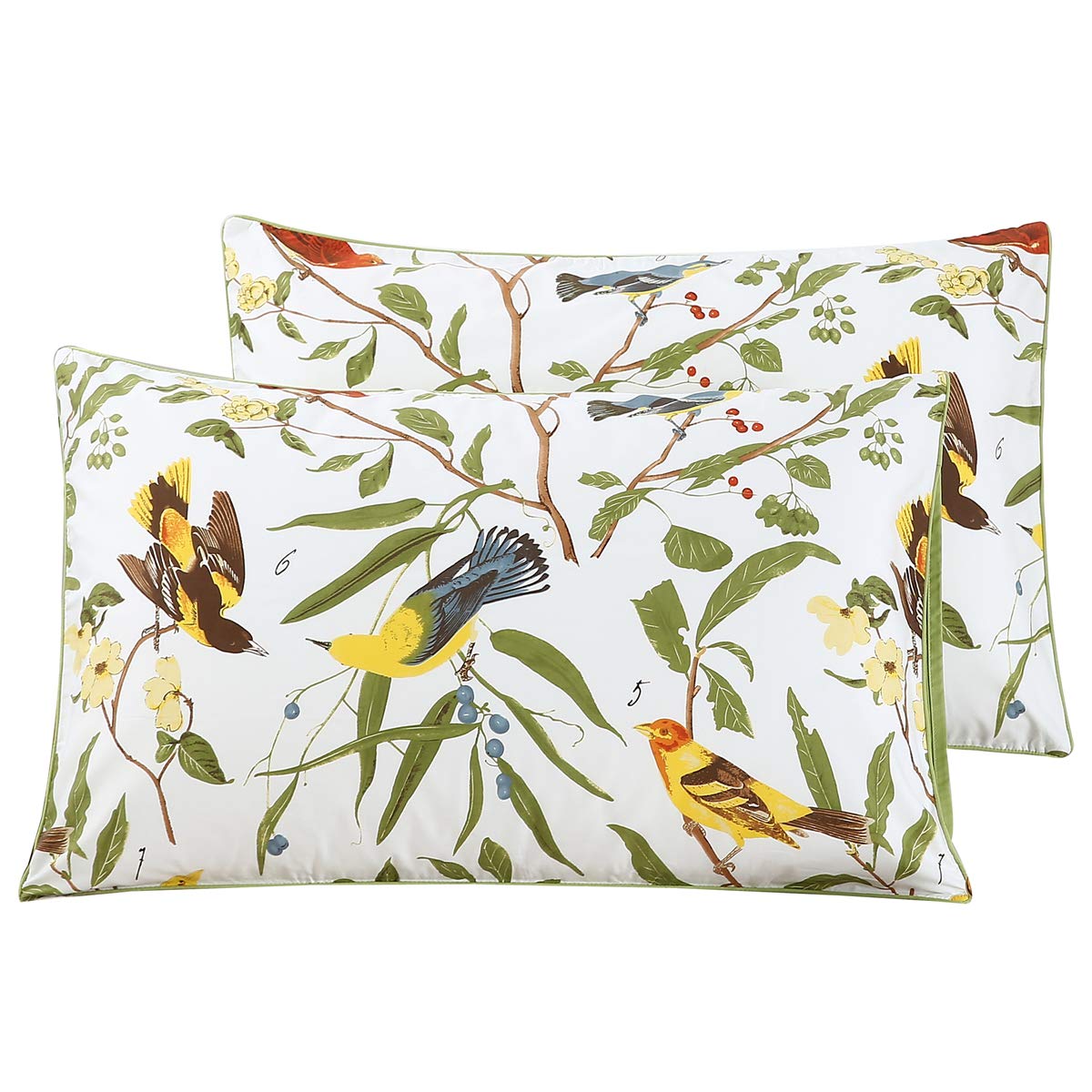 WINLIFE Standard Pillowcases Set of 2 100% Egyptian Cotton, Bright White