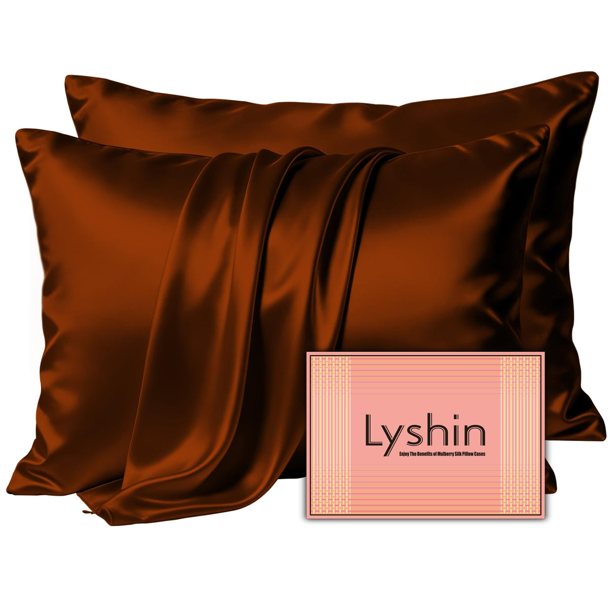 LYSHIN Silk Pillow Cases 2 Pack Standard Size with Zipper, Champagne