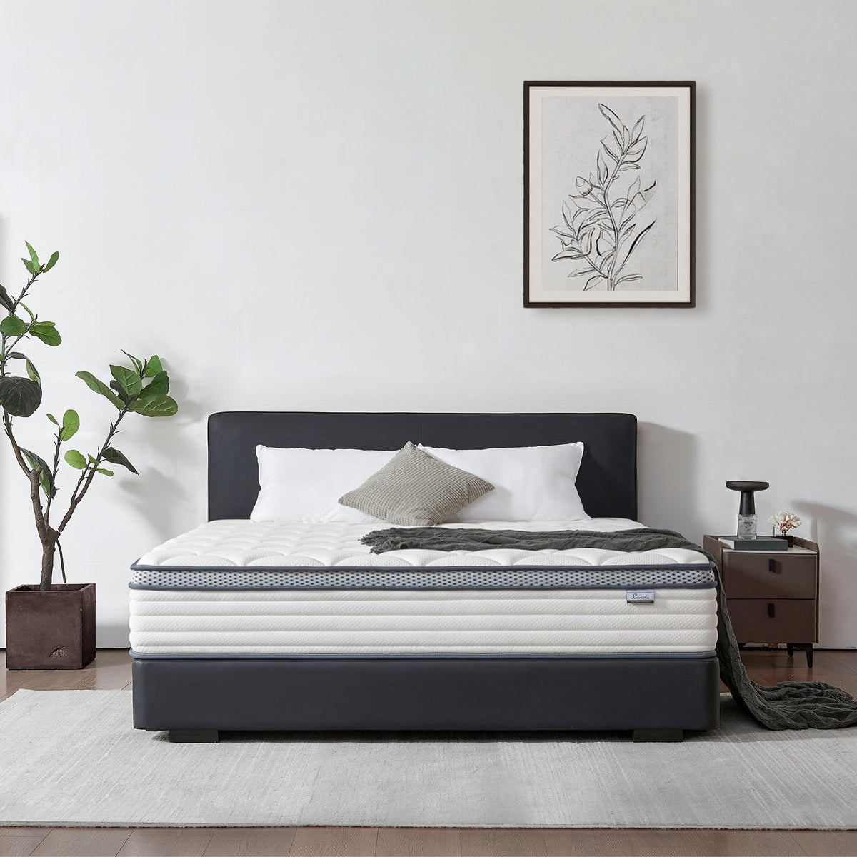 Queen Mattress,12 inch Queen Size Hybrid in Box,Medium Firm Support