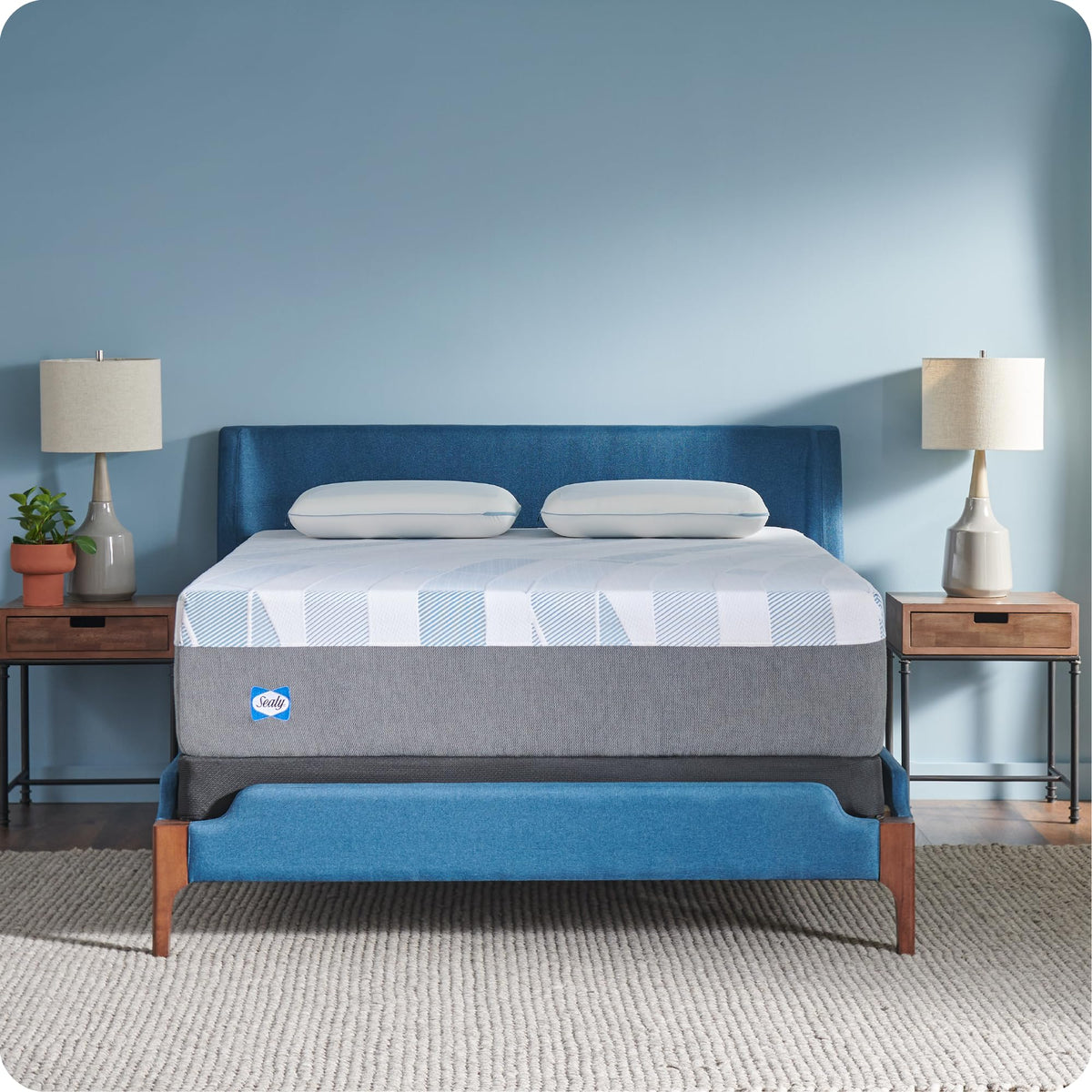Sealy Dreamlife 12” Hybrid Mattress-in-a-Box, King, SealyComfort Gel Memory Foam, SealyResponsive Encased Coils, Surface-Guard Technology