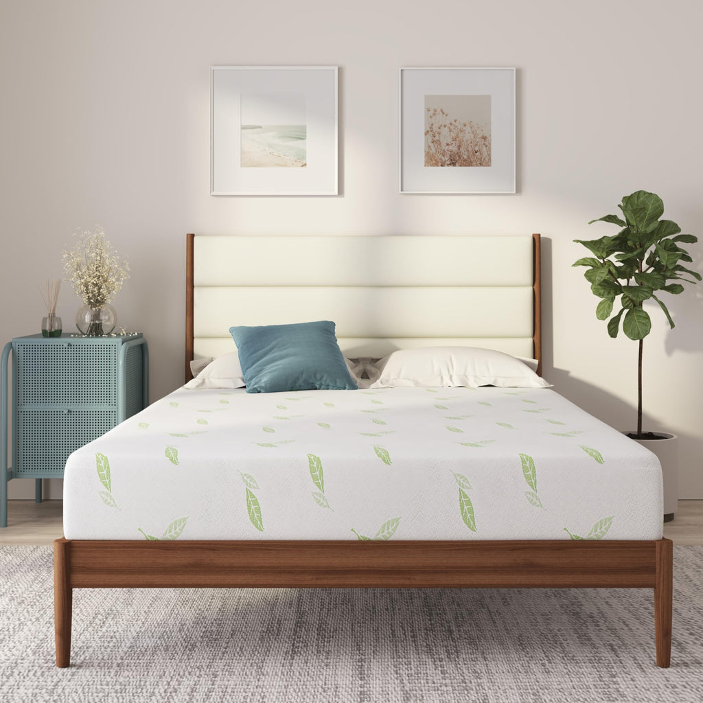 NapQueen Twin Size, 12 Inch Anula Green Tea Infused Memory Foam Mattress, Bed in a Box, CertiPUR-US Certified
