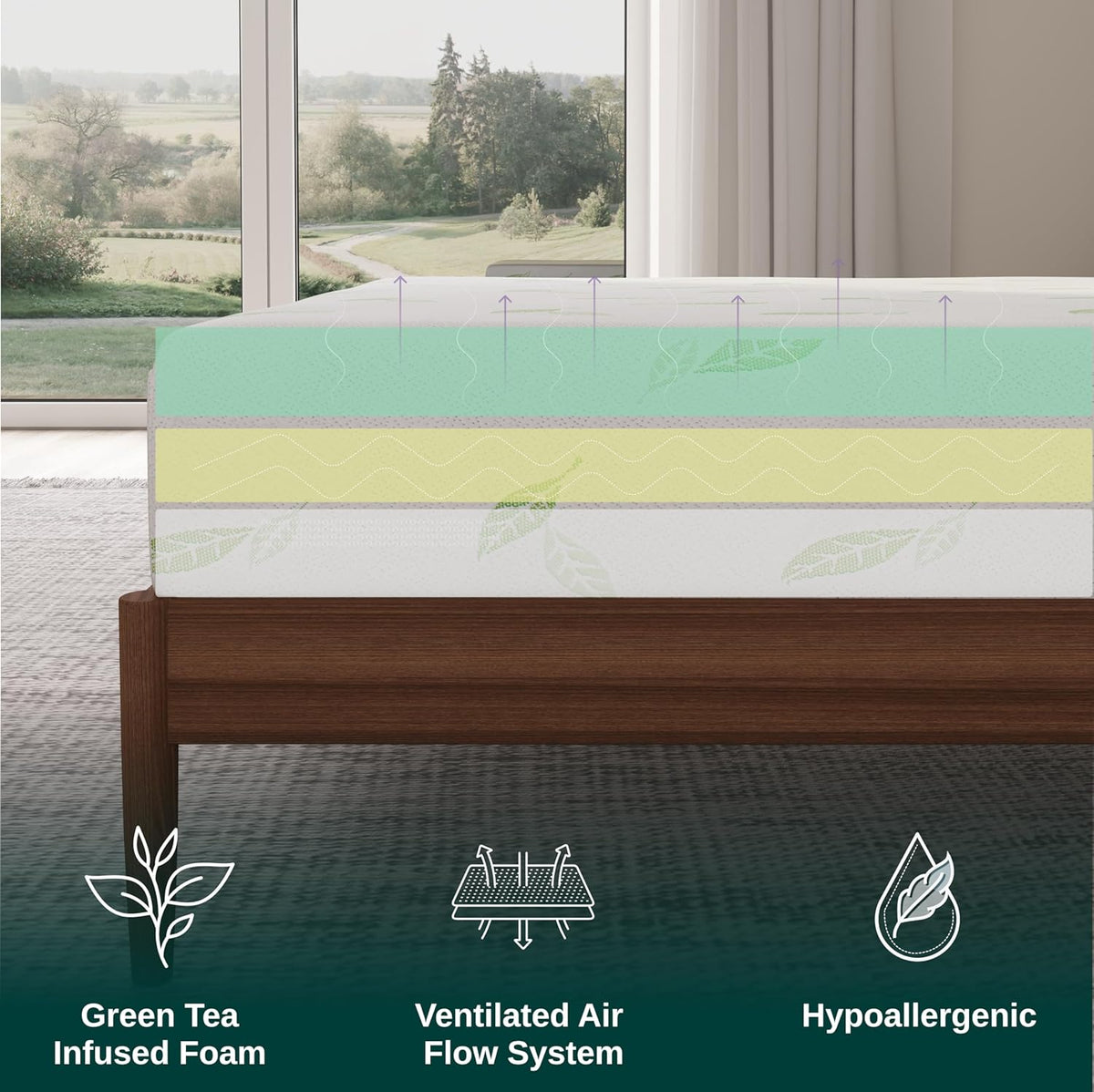 NapQueen Twin Size, 12 Inch Anula Green Tea Infused Memory Foam Mattress, Bed in a Box, CertiPUR-US Certified